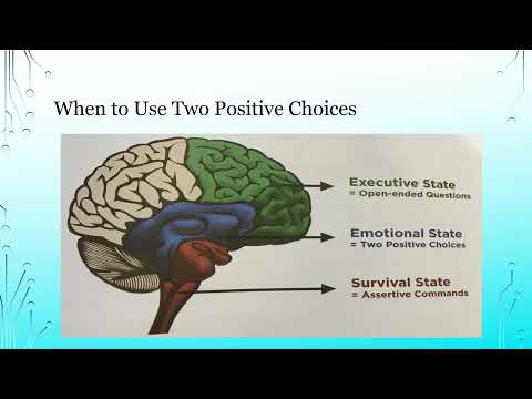 8. Strategy: Two positive choices (Blue Brain)