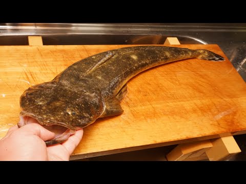 マゴチのさばき方と唐揚げの作り方-How to fillet Platycephalus sp.  and Fried flathead-