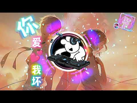 你爱我坏dj Dj Remix 抖音dj 中文舞曲