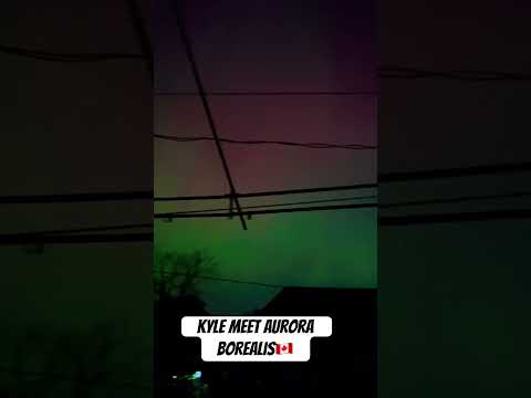 Kyle Meet Aurora Borealis in the backyard #auroraborealis #northernlights #moosejaw #shorts