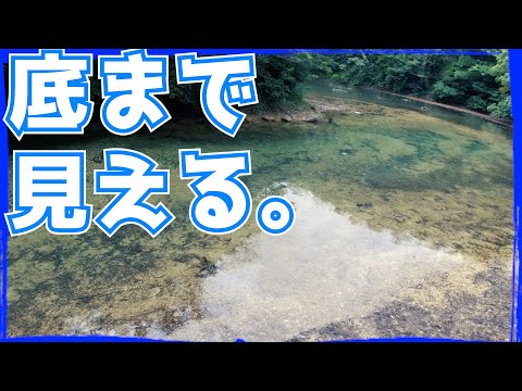 【丸見え】クリアウォーターを攻略するぜ！【バス釣り】