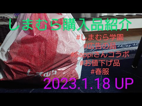 【Haul】しまむら購入品紹介＊2023.1.18/広告の品/しまむら学園/Sappiさんコラボ/お値下げ品/春服