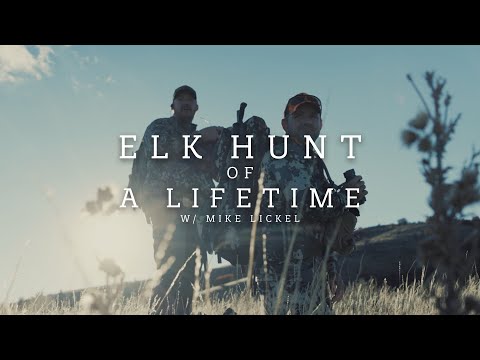 Elk Hunt of a Lifetime | 2022