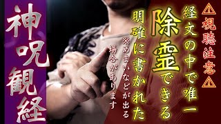 【大神呪の除霊祈祷】知らない間に受けてしまった霊的影響をなくし、体が軽くなります