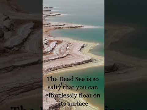 The Dead Sea #DeadSeaFloat #SalineSerenity #NaturalBuoyancy #MineralMagic