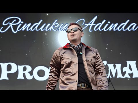 PROTONEMA - RINDUKU ADINDA Live The 90s Festival 2024 #terbaru #protonema #rindukuadinda #live #90s