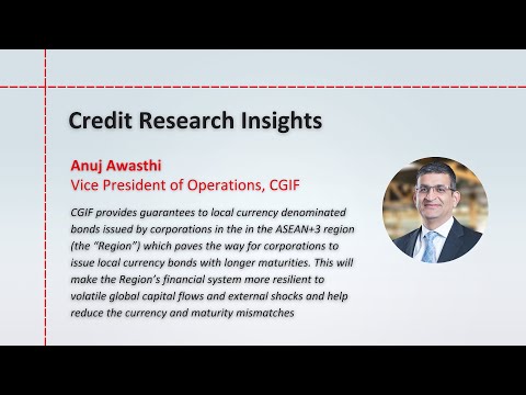 CGIF Part 2 - Perspective of an Issuer