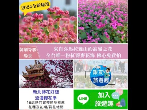 台中大雅粉紅蕎麥花海｜佛心免費開放！全台唯一「高嶺紅寶石」來自喜馬拉雅山，田野紅絲絨花毯媲美韓劇《鬼怪》