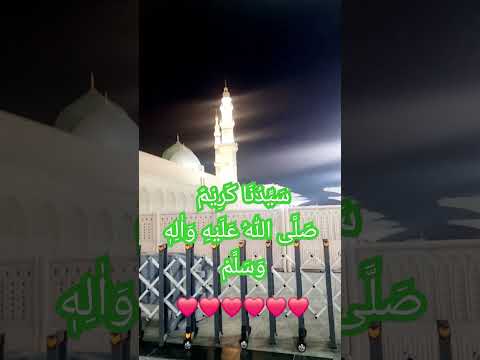 ROZA-E- RASOOL #MUHAMMAD (PBUH) #MADINA #ALLAH #RAHEEM #ALLAH #REHMAN #ALLAH #RAAZIQ #viral #video