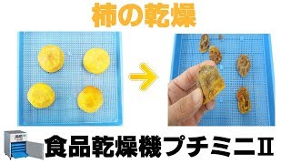 [干し柿作り]業務用ドライフルーツメーカーで柿を乾燥（プチミニⅡ）