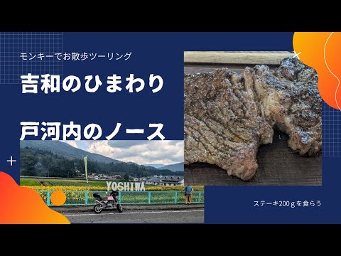 モンキーでステーキとジェラード食べに行く【88ccカスタムモンキーで遊ぶ #176】