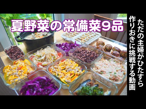 【夏野菜の常備菜9品】ただの主婦がひたすら作りおきに挑戦する動画。