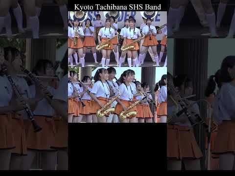 京都橘高校吹奏楽部　ムジークフェストなら2024　Kyoto Tachibana SHS Band  #京都橘高校吹奏楽部 #tachibana #吹奏楽