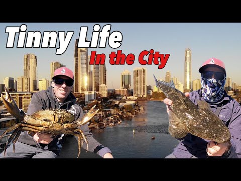 BOAT CAMPING IN THE CITY - Solo Fishing and Mud crabbing overnighter amongst the GC sky scrapers