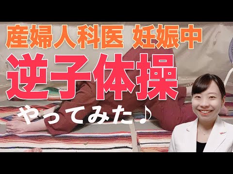 【逆子のママ必見】逆子体操 逆子妊娠中の産婦人科医が解説!【リアル実演】