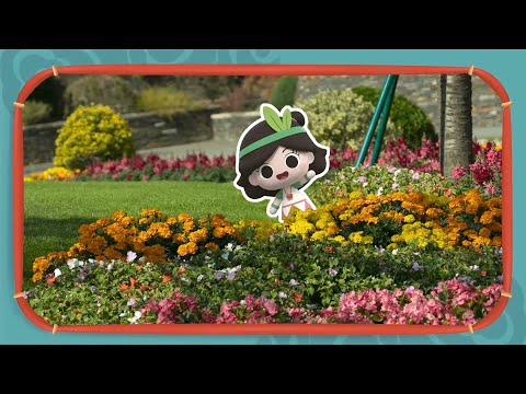 Botanical Garden Fun | Emmy & GooRoo Treasure Hunt