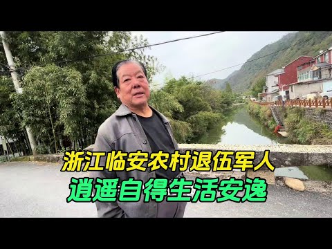 Life of Rural Veterans in Lin'an  Zhejiang  Drinking and Enjoying Pastoral Time