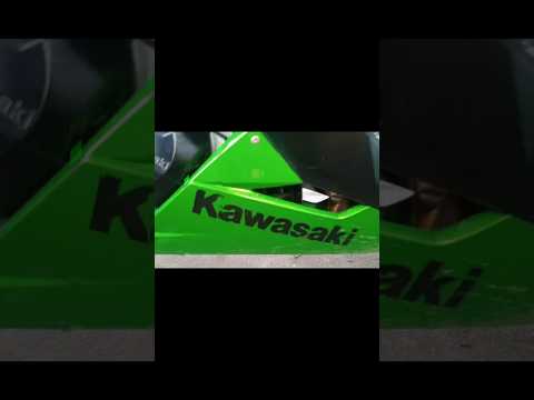 Ninja Kawasaki 300 #viral #ytshorts #trending