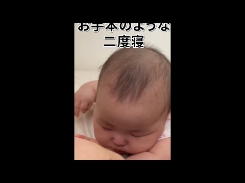 むくり ポテリ ぐう #shorts  #赤ちゃん  #baby