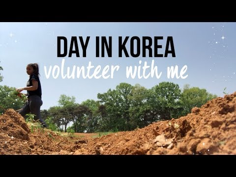 day in korea // volunteering