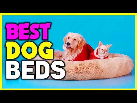 ✅Top 5: Best Dog Beds in 2024 - The Best Dog Beds {Reviews}