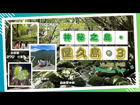 VLOG#42 鹿兒島縣屋久島 | 探訪屋久島神木 | 太鼓岩 | 白谷雲水峽 | 屋久島登山+露營 | Yama Girls | 4日3夜行程分享 Part 3 #鹿兒島旅行 #屋久島