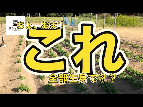 【豊かな農園22】ちょ、これおまじゃが全部生身で？？