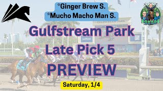 Ep. 387 Picks &  Ponies: Gulfstream Park Late Pick 5 Preview - Sat, 1/4