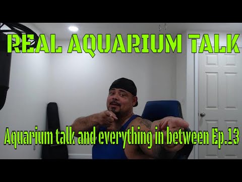 REAL AQUARIUM TALK