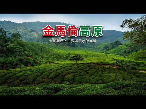 大馬著名避暑渡假勝地｜金馬崙高原 Cameron Highlands