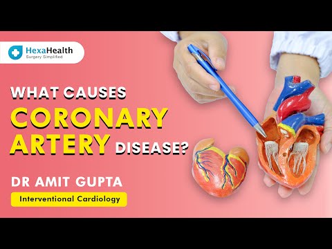 What is Coronary Artery Disease? || HexaHealth expert Dr. Amit Gupta