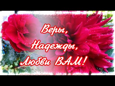 ВЕРЫ,НАДЕЖДЫ,ЛЮБВИ ВАМ!С ПРАЗДНИКОМ!💕🍁☀️🌹🌹