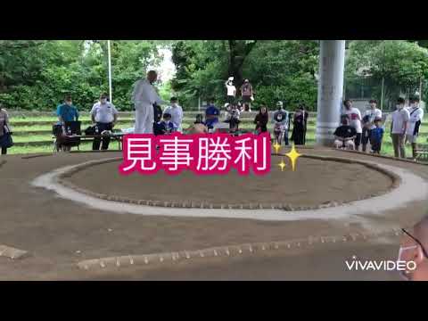 【わんぱく相撲】神奈川県予選💪小学4年生男子の部😃2022.6.12(日)【葵相撲道場】