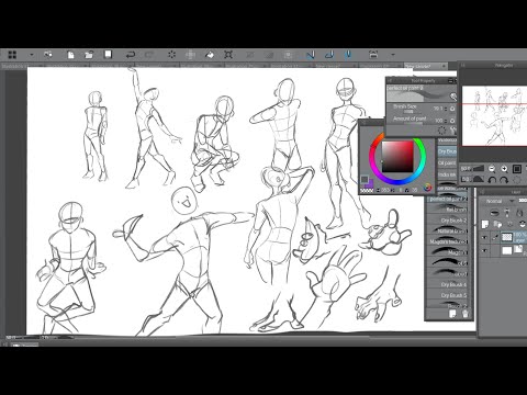 Anatomy studies // speedpaint