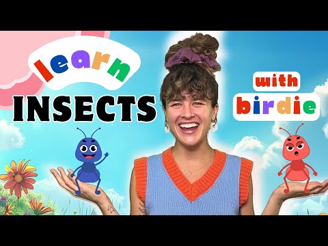 LETTER i FOR INSECTS | Sing & Learn with Birdie | Kids Educational Video | Preschool | Learn to Read