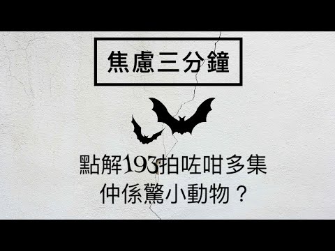 ［焦慮三分鐘］03 點解193拍咗咁多集都係驚小動物？