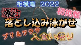 相模湾落とし込み泳がせ 入食い祭り