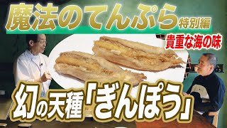 【みかわ魔法のてんぷら特別編】幻の天種「ぎんぽう」を味わう(みかわ是山居) Japanese No.1Magic Tempura Mikawa Zezankyo