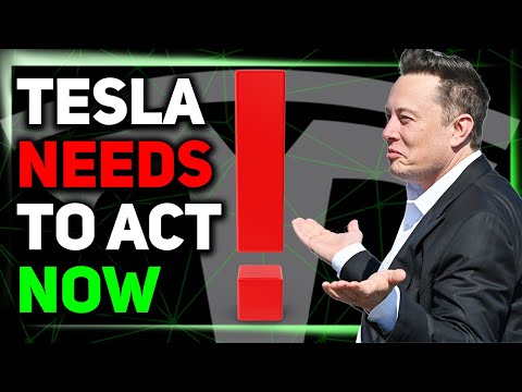 The Truth About Tesla's P&D Report / Cybertruck: Time to Panic? / Elon's Pay Package Update ⚡️