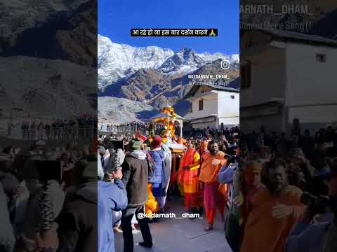 jay Shree kedranath baba🙏🌎🤝 #kedarnathtemple#kedarnathstatus#4kfullscreenstatus#shorts#shortsviral