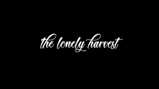 Arrow: 'The Lonely Harvest' - Best of Mini's ft. @WeAreTheEmpty