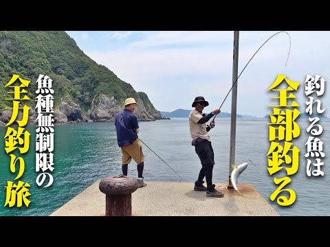 釣りバカ2名による全力釣り旅！！堤防に押し寄せる青物の大群、深夜の奇跡に荒磯の王者…あらゆる魚が釣れた伝説の旅になった件。