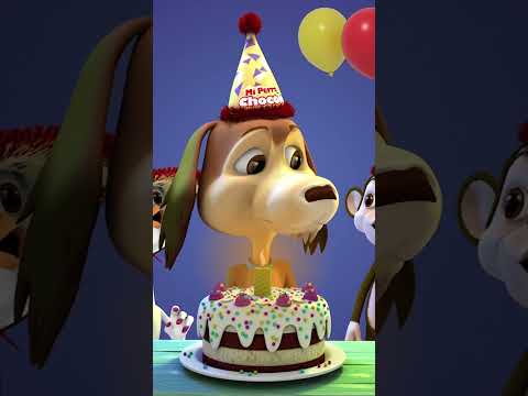 🎂 CHOCOLO ESTÁ DE CUMPLEAÑOS 🐾 |  CANCIONES INFANTILES #shorts