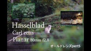 Hasselbladのcarl Zeiss planar 80mm f2.8をデジタルで！中判オールドレンズレンズとα7sⅡの相性はいかに。