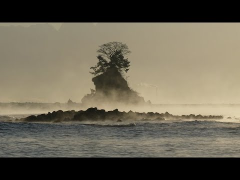 20211214雨晴海岸