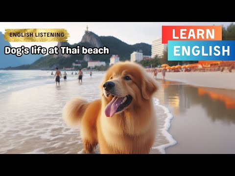 Dog's life at Thai beach | english story for listening to improve english