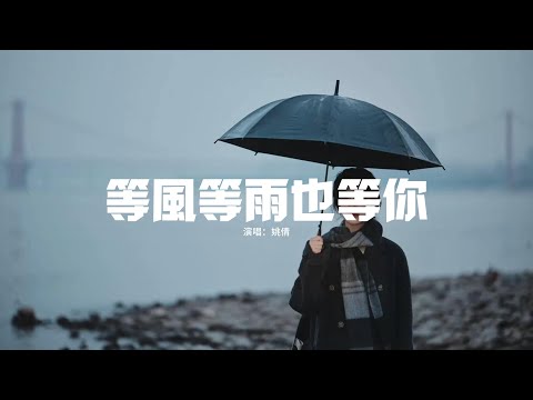 姚倩 - 等風等雨也等你『我站在人海裡打聽你的蹤跡，不管多遠都要找到你，你的任何消息都會讓我滿心歡喜，哪怕是 做了場夢而已。』【動態歌詞MV】