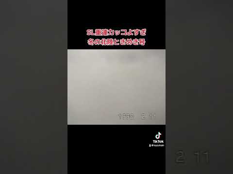 C571号機の汽笛の音は最高