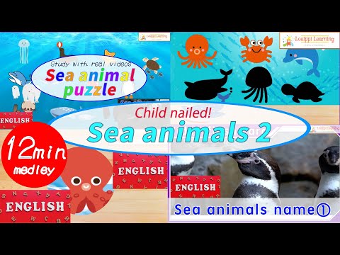 [English] Sea animal Quiz Medley What kind of a sea creature? 2 Educational video For Baby & toddler