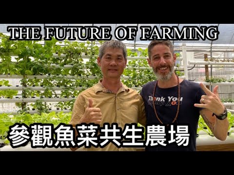 THIS WILL BE ONE OF THE TOP JOBS IN 2030.  IS AQUAPONICS THE FUTURE IN FARMING?魚菜共生是未來農業趨勢嗎？